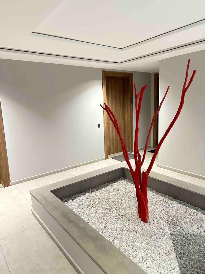 Cosy Appartement Au Centre De الدار البيضاء المظهر الخارجي الصورة